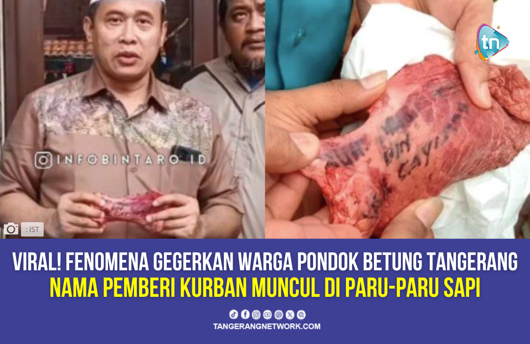 Fenomena Aneh! Nama Pemberi Kurban Muncul di Paru-Paru Sapi Tangerang Selatan