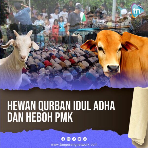HEWAN QURBAN IDUL ADHA DAN PANIK PMK