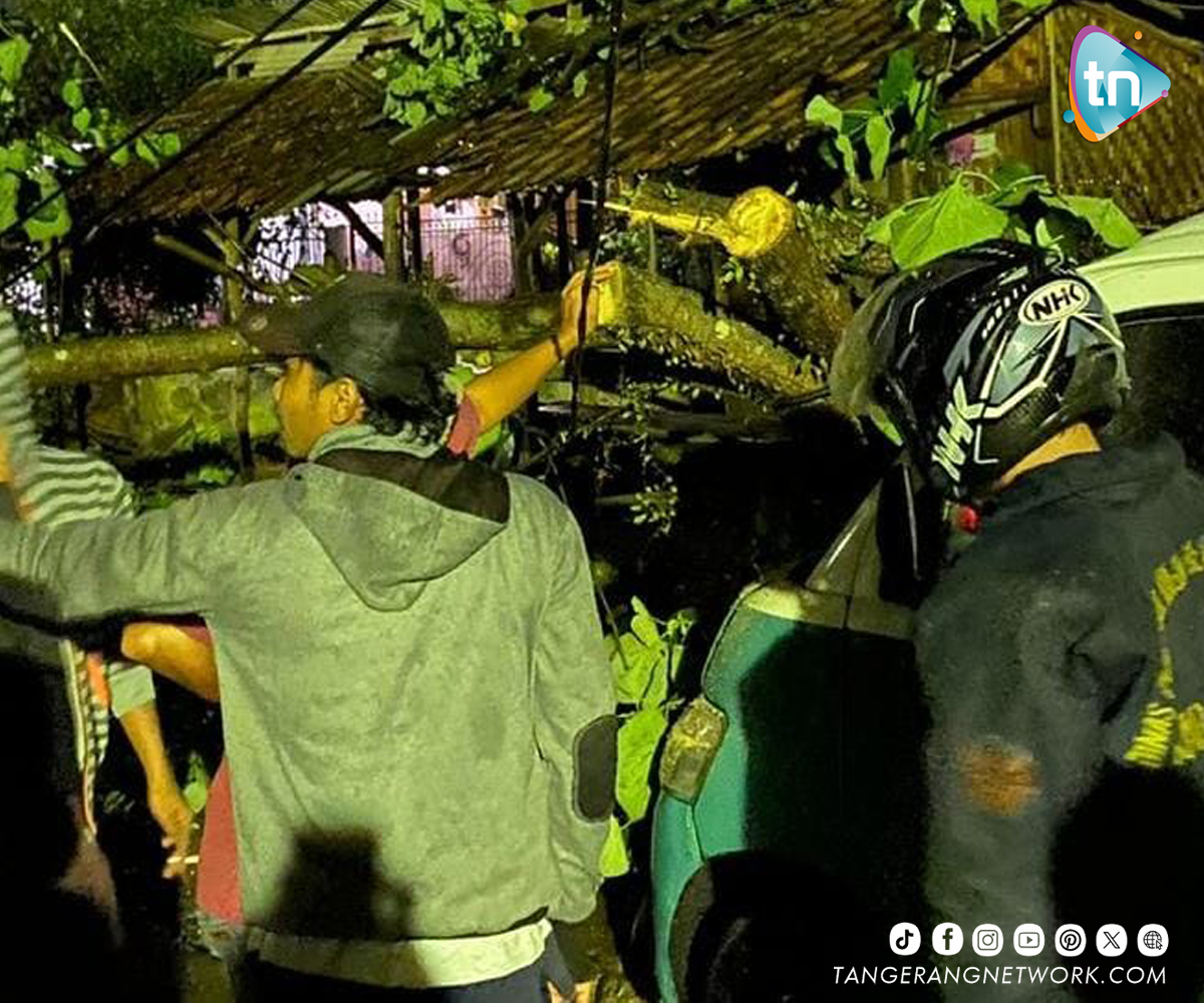 Hujan Deras Serta Angin Kencang, BPBD Tangerang Sigap Tangani Pohon Tumbang