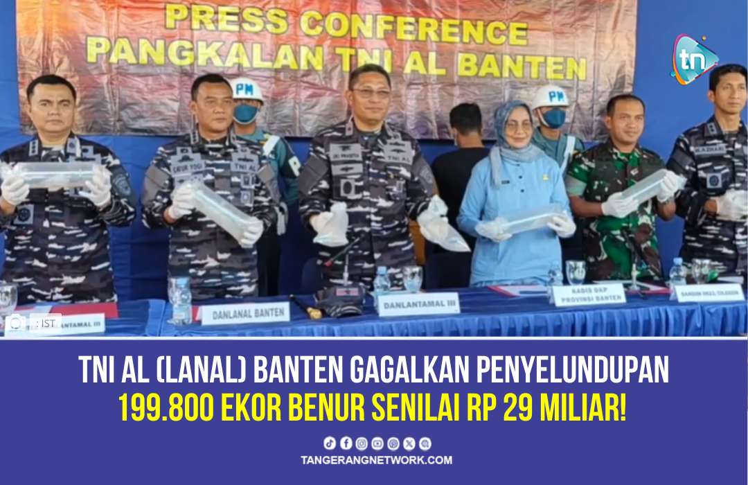 TNI AL Banten Gagalkan Penyelundupan 199.800 Benur Senilai Rp 29 miliar