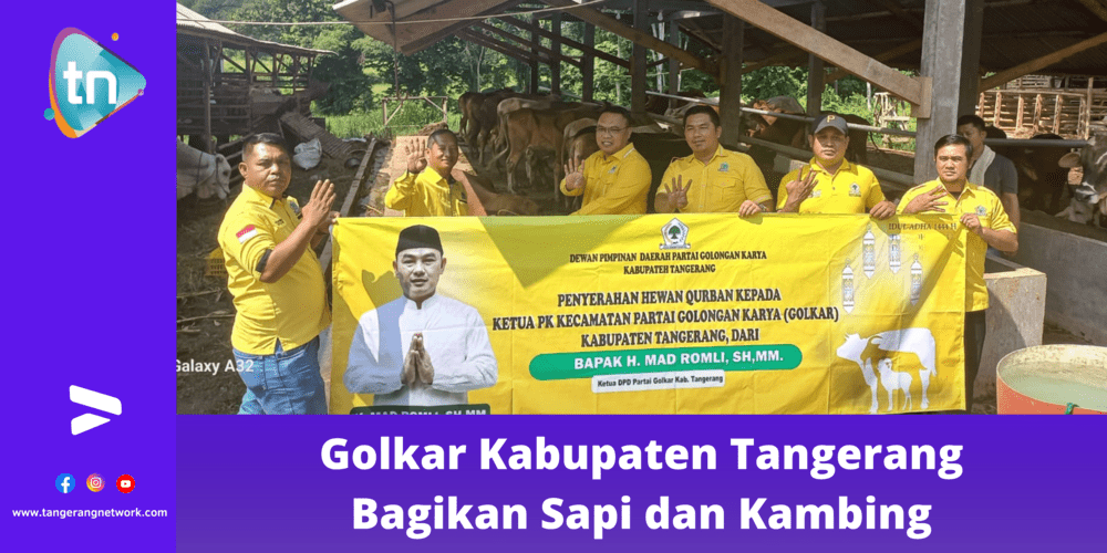 Golkar Kabupaten Tangerang Bagikan Sapi dan Kambing
